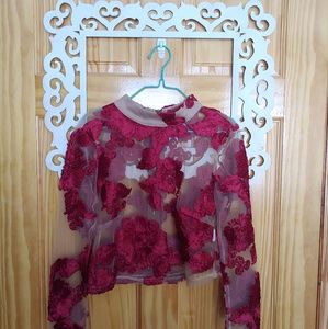 AKIRA Sheer Mock Turtle Neck Crop Top